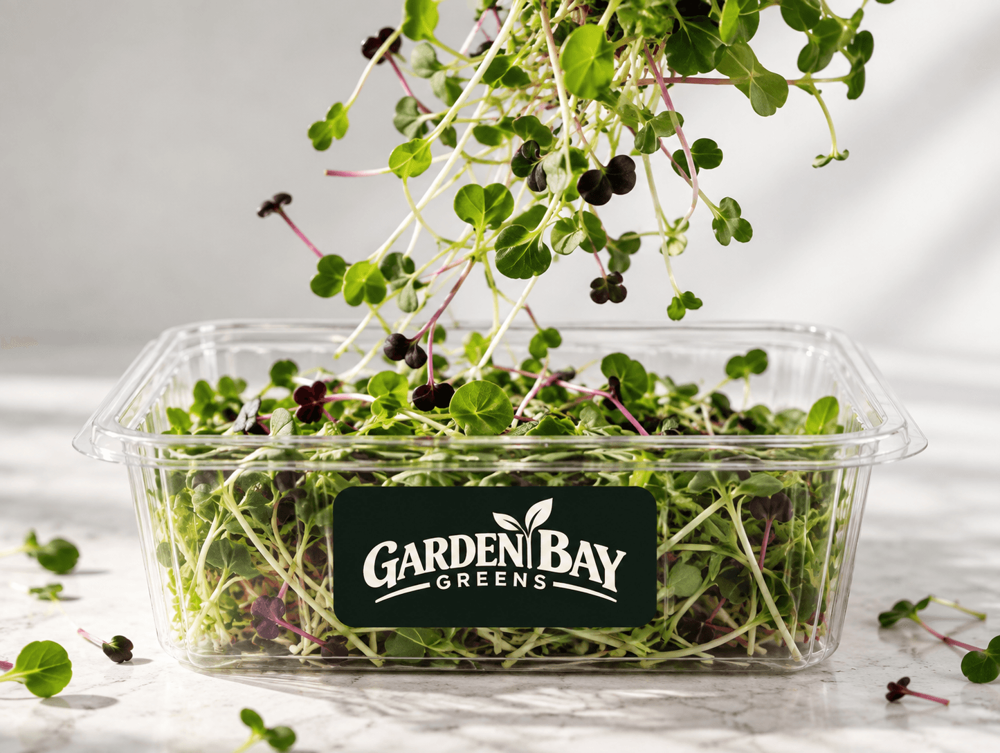 A branded Garden Bay Greens container of freshly cut microgreens