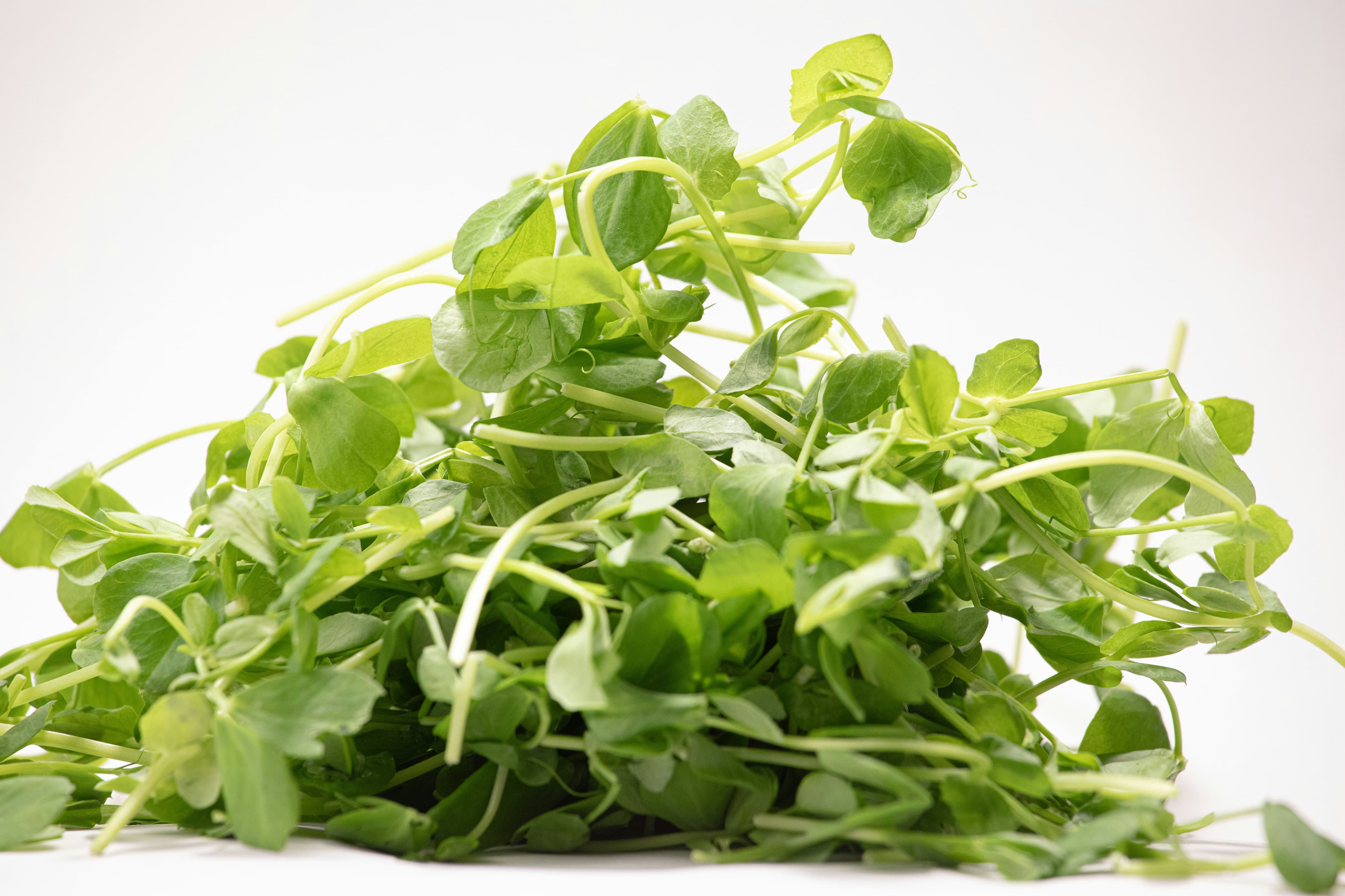 A pile of fresh pea shoots